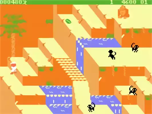 Image n° 4 - screenshots : Congo Bongo