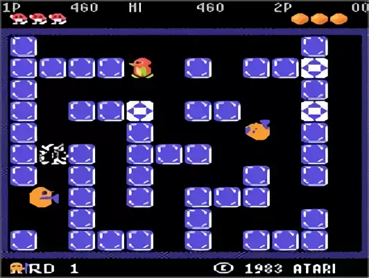 Image n° 4 - screenshots : Pengo