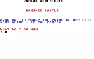 jeu Banshee Castle
