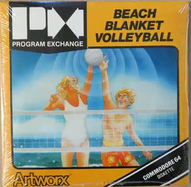 jeu Beach Blanket Volleyball