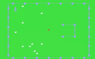 jeu Cane da Pastore jeu Cane da Pastore