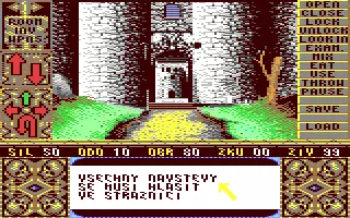 jeu Elvira - Mistress of the Dark