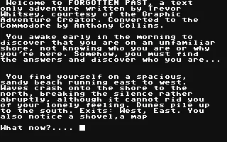 jeu Forgotten Past jeu Forgotten Past