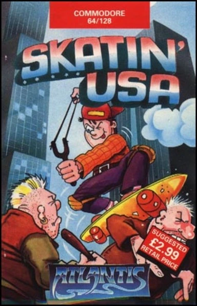 jeu Skatin' USA