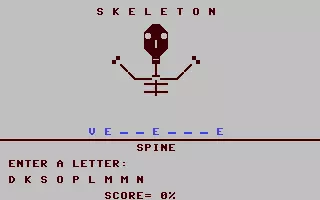 jeu Skeleton