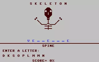 SKELETON.zip