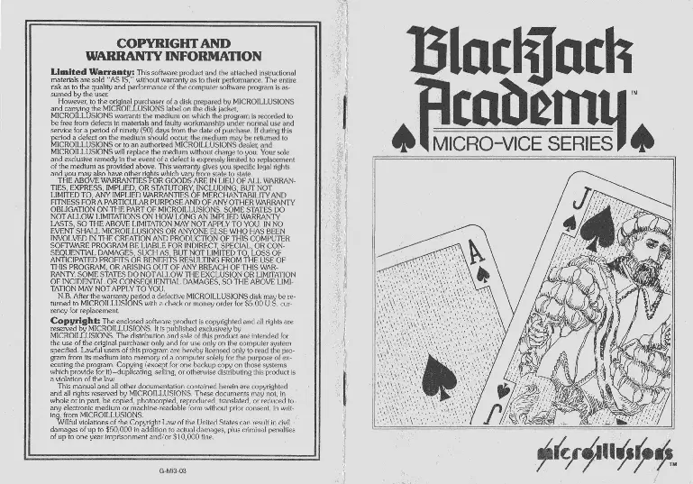 manual for BlackJack Academy
