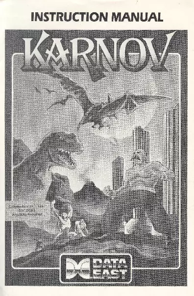 manual for Karnov