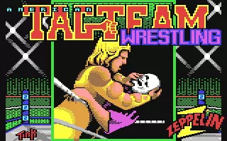Image n° 2 - screenshots  : American Tag-Team Wrestling
