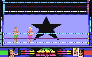 Image n° 3 - screenshots  : American Tag-Team Wrestling