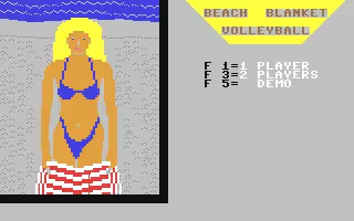 Image n° 2 - screenshots  : Beach Blanket Volleyball
