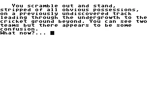 Image n° 2 - screenshots : Cricket-Crazy Image n° 2 - screenshots : Cricket-Crazy