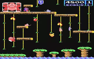 Image n° 7 - screenshots  : Donkey Kong