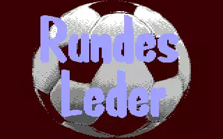 Image n° 2 - screenshots  : Rundes Leder