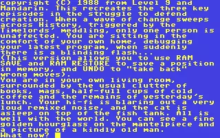 Image n° 3 - screenshots  : Time and Magik