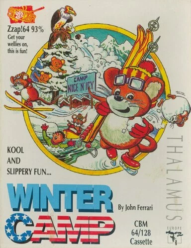 Image n° 2 - screenshots  : Winter Camp