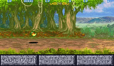 Image n° 3 - gameover : The King of Dragons (World 910805)