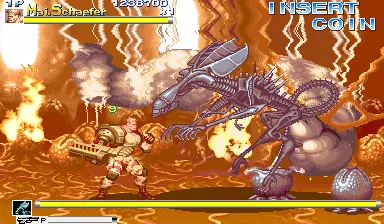 Image n° 1 - bosses : Alien vs. Predator (Euro 940520)