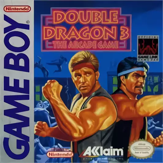 Image n° 1 - box : Double Dragon III - The Rosetta Stone