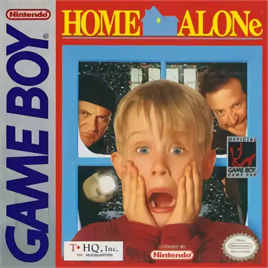 Image n° 1 - box : Home Alone
