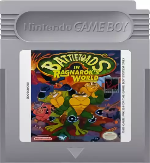 Image n° 2 - carts : Battletoads in Ragnarok's World