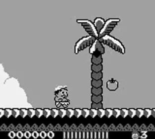 Image n° 4 - screenshots  : Adventure Island