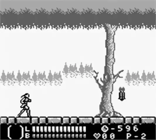 Image n° 5 - screenshots : Castlevania - Legends