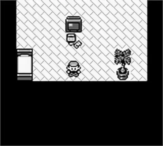 Image n° 4 - screenshots : Pokemon - Blue Version