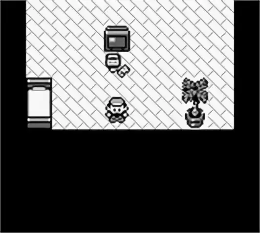 Image n° 5 - screenshots : Pokemon - Red Version