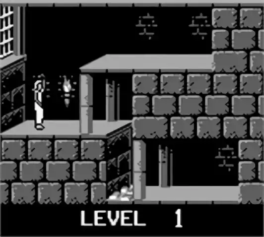 Image n° 5 - screenshots : Prince of Persia