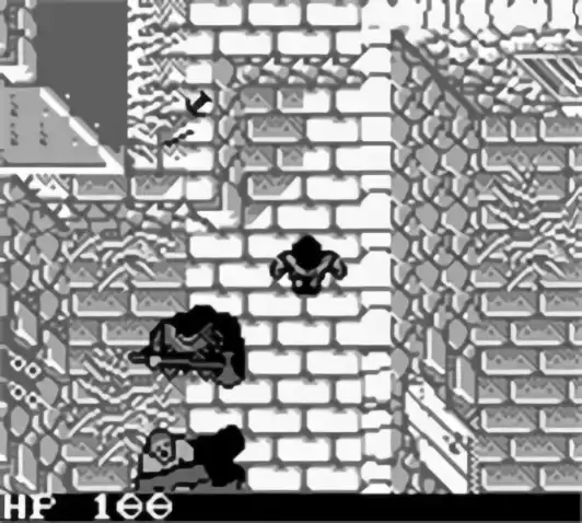 Image n° 5 - screenshots : Robin Hood - Prince of Thieves