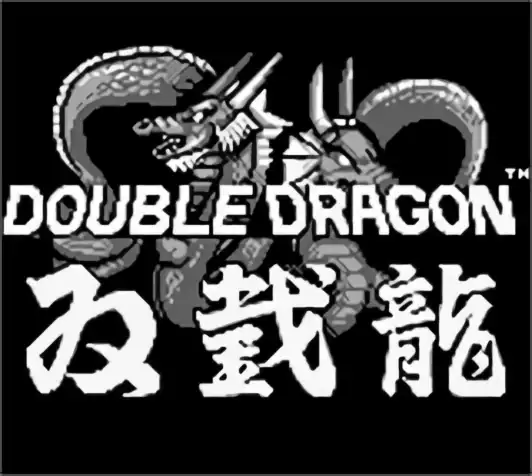 Image n° 6 - titles : Double Dragon