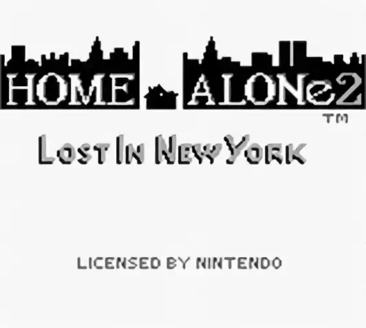 Image n° 5 - titles : Home Alone 2 - Lost In New York