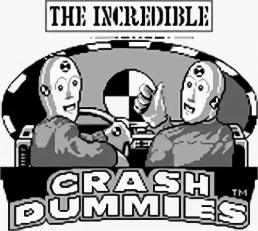 Image n° 6 - titles : Incredible Crash Dummies, The