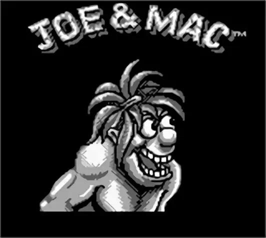 Image n° 5 - titles : Joe & Mac - Caveman Ninja