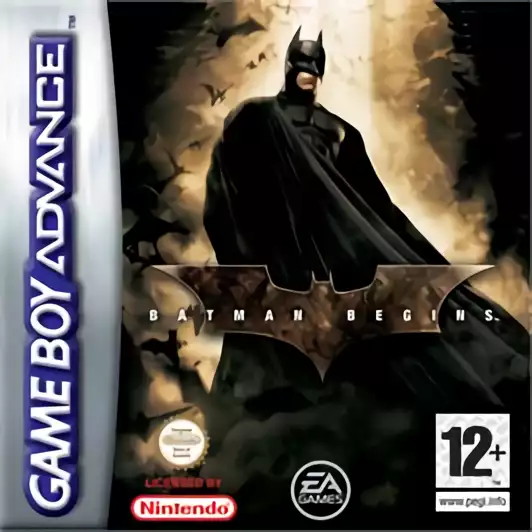 Image n° 1 - box : Batman Begins