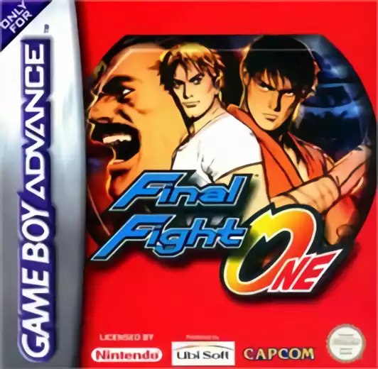 Image n° 1 - box : Final Fight One