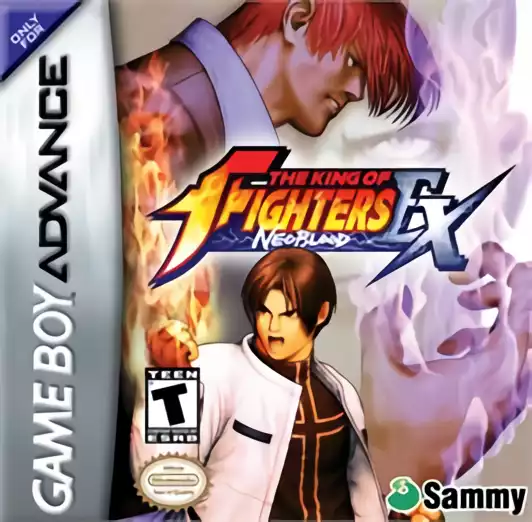 Image n° 1 - box : The King of Fighters Ex - Neoblood