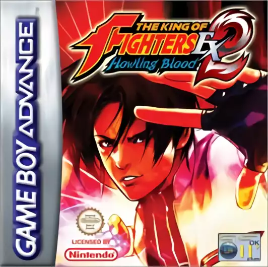 Image n° 1 - box : The King of Fighters Ex 2 - Howling Blood