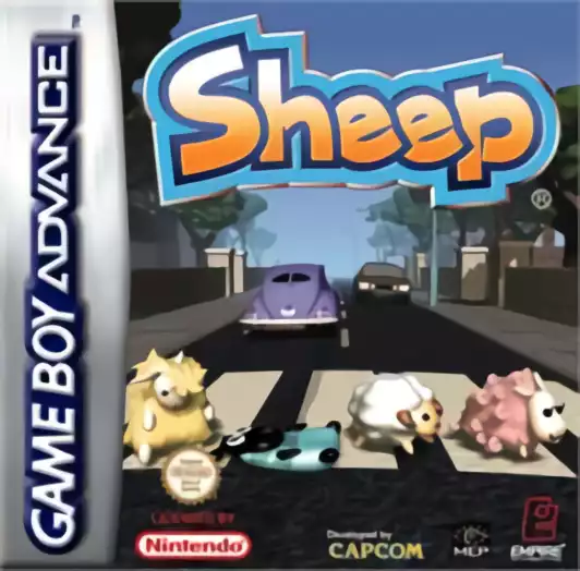 Image n° 1 - box : Sheep