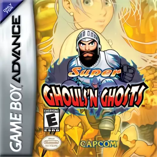 Image n° 1 - box : Super Ghouls'n Ghosts