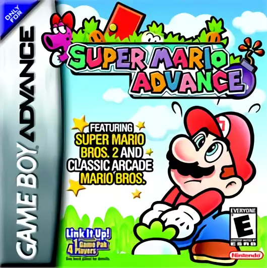 Image n° 1 - box : Super Mario Advance