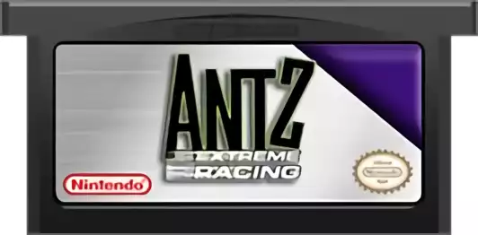 Image n° 2 - carts : Antz - Extreme Racing