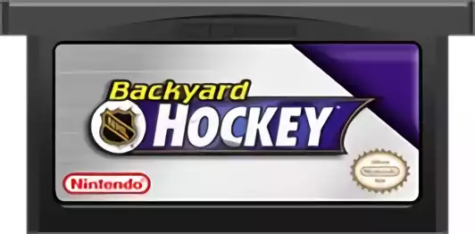 Image n° 2 - carts : Backyard Hockey