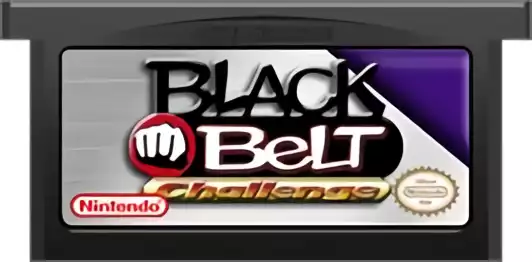 Image n° 2 - carts : Black Belt Challenge