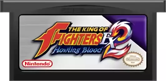 Image n° 2 - carts : The King of Fighters Ex 2 - Howling Blood