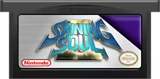 Image n° 2 - carts : Shining Soul II