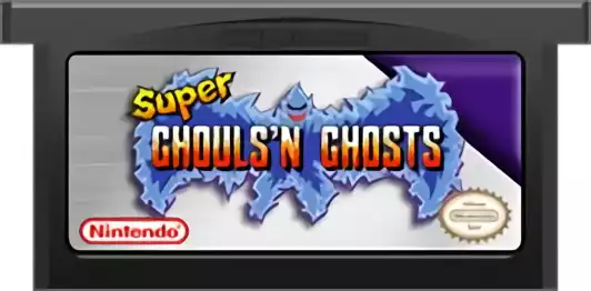 Image n° 2 - carts : Super Ghouls'n Ghosts