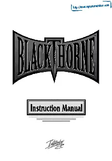 manual for Blackthorne