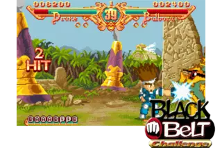 Black Belt Challenge Rom Gameboy Advance Gba Emurom Net